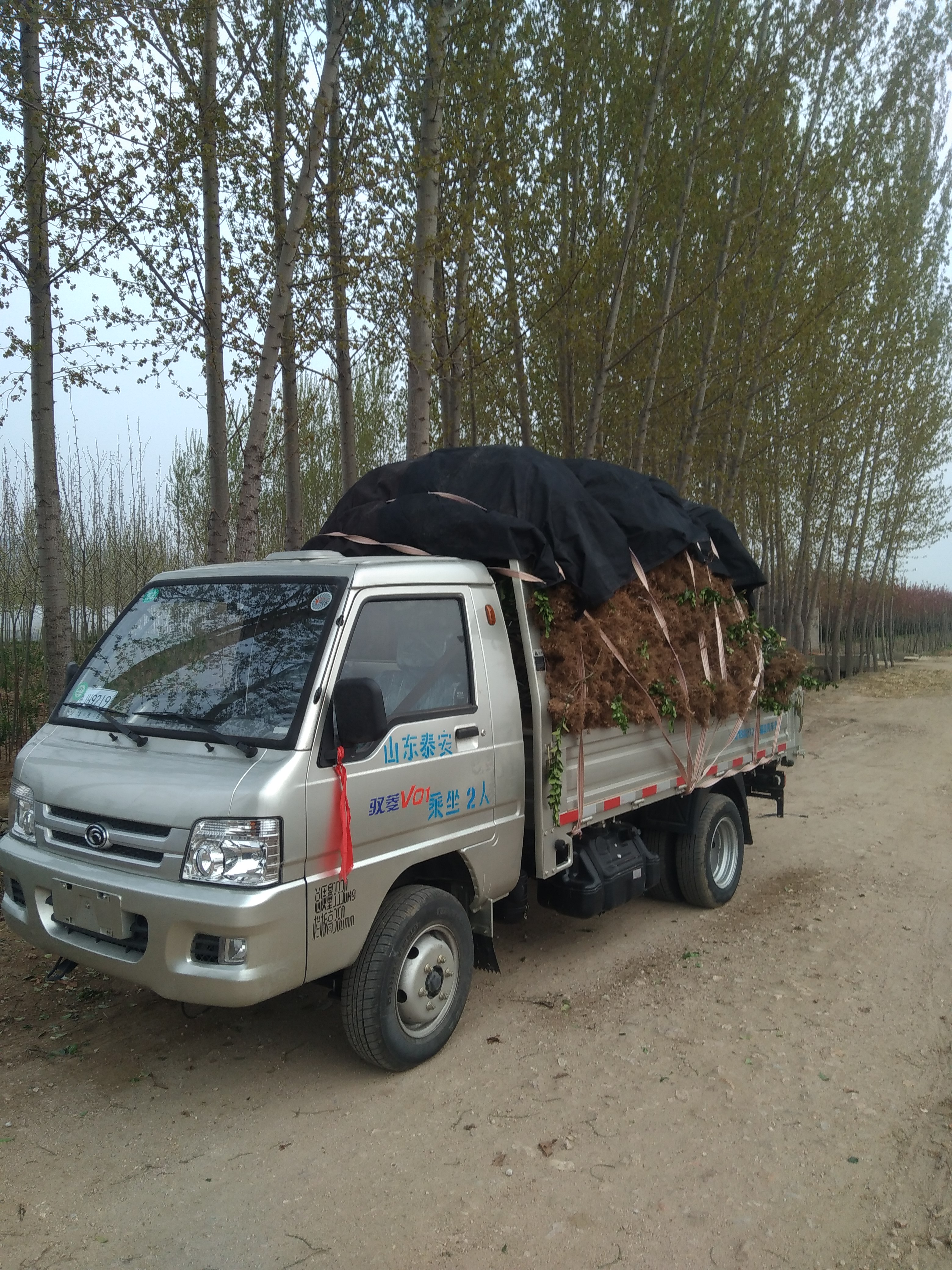 福田时代 驭菱vq1 112马力 4x2 3.05米自卸车(汽油)(bj3030d5ja3-fa)