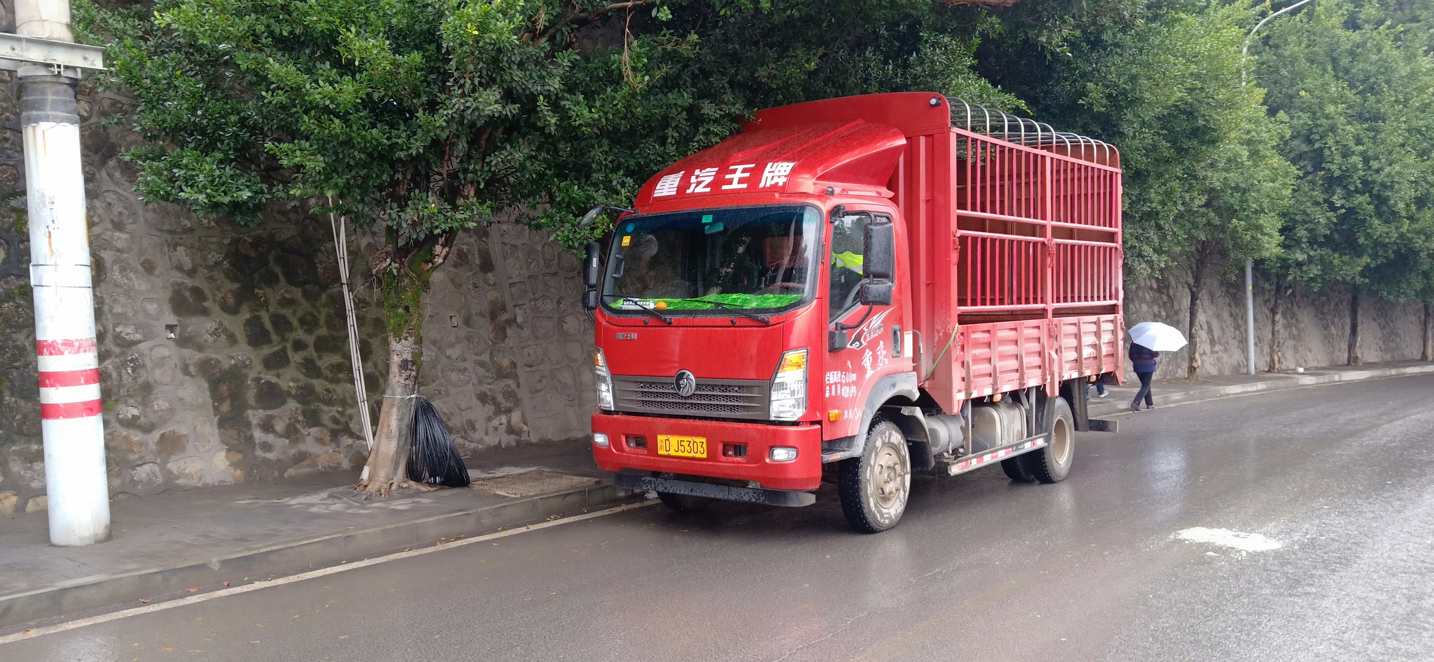 重汽王牌7系95马力41米单排仓栅式轻卡cdw5040ccyha4q4