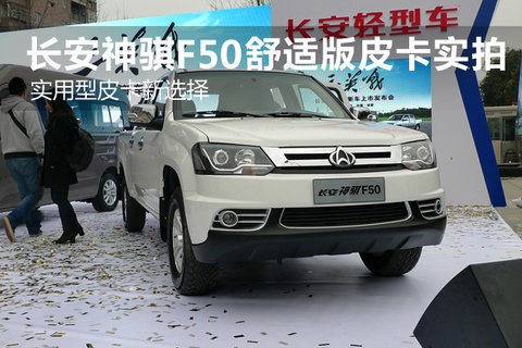 ʵ����Ƥ����ѡ�� ��������F50���ʰ�Ƥ��ʵ��