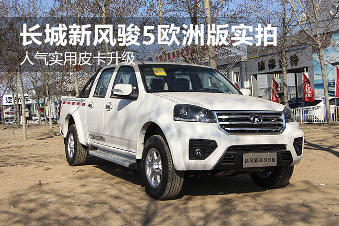 ����ʵ��Ƥ������ �����·翥5ŷ�ް�ʵ��